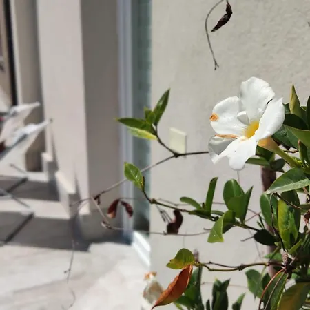 Borgo Sabelli - Costa Dei Trabocchi Casalbordino