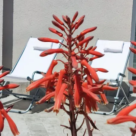 Borgo Sabelli - Costa Dei Trabocchi