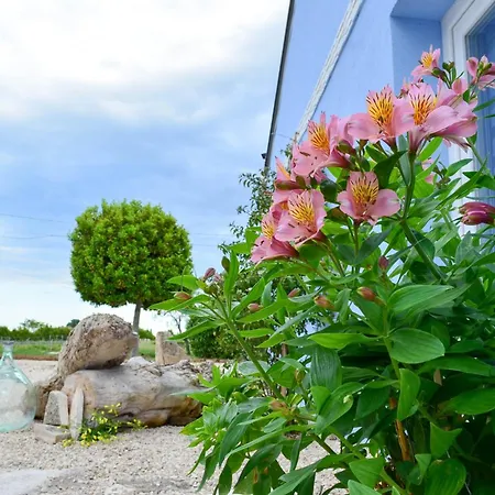 Bed & Breakfast Borgo Sabelli - Costa Dei Trabocchi