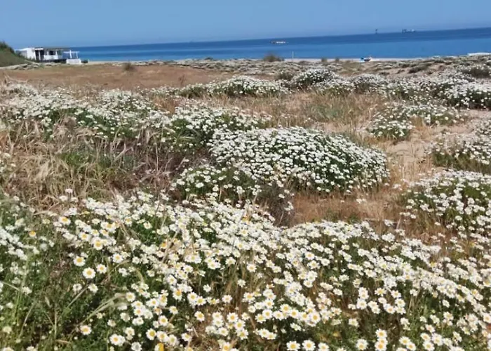 فندق مبيت وإفطار Borgo Sabelli - Costa Dei Trabocchi