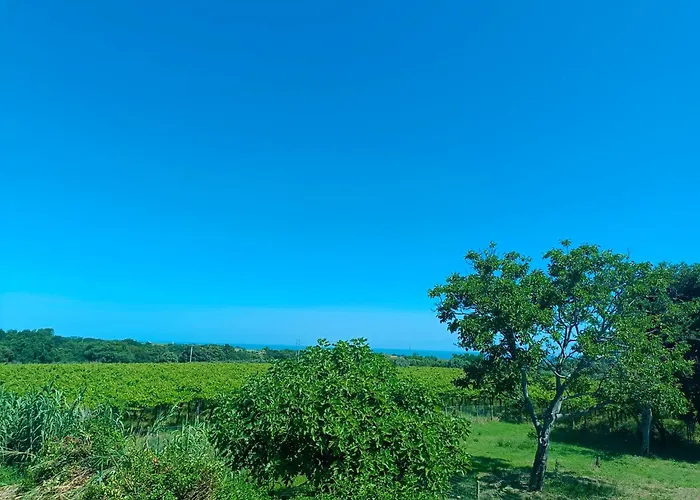 Borgo Sabelli - Costa Dei Trabocchi